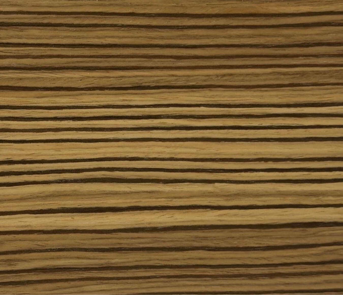 Qtr Zebrawood