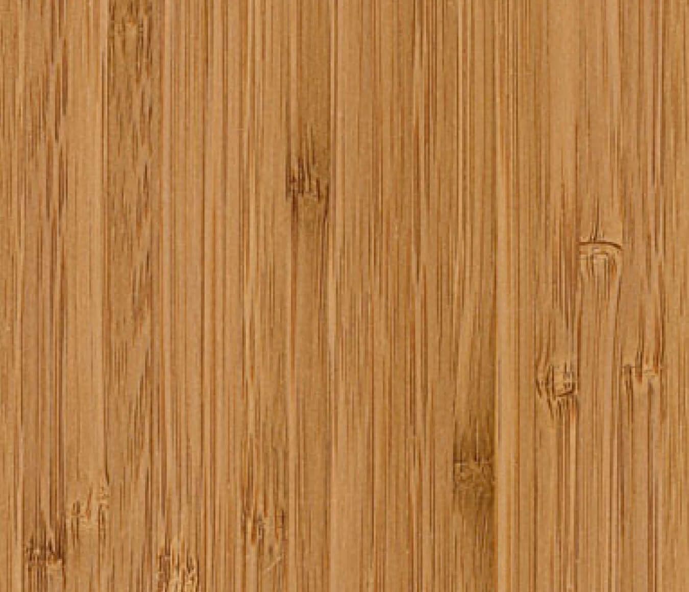 Bamboo